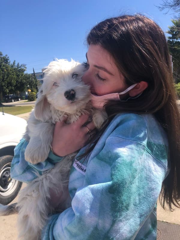 Customer photo of Bernedoodle, Mini puppy from Calyssa F.