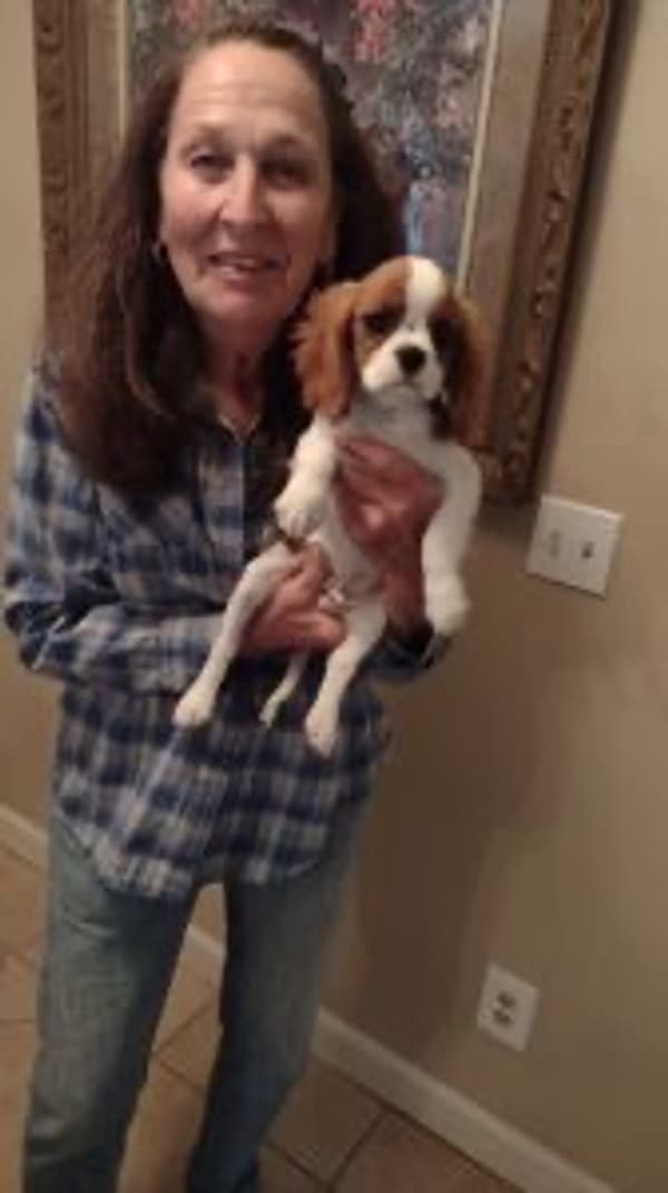 Customer photo of Cavalier King Charles Spaniel puppy from Suzanne S.