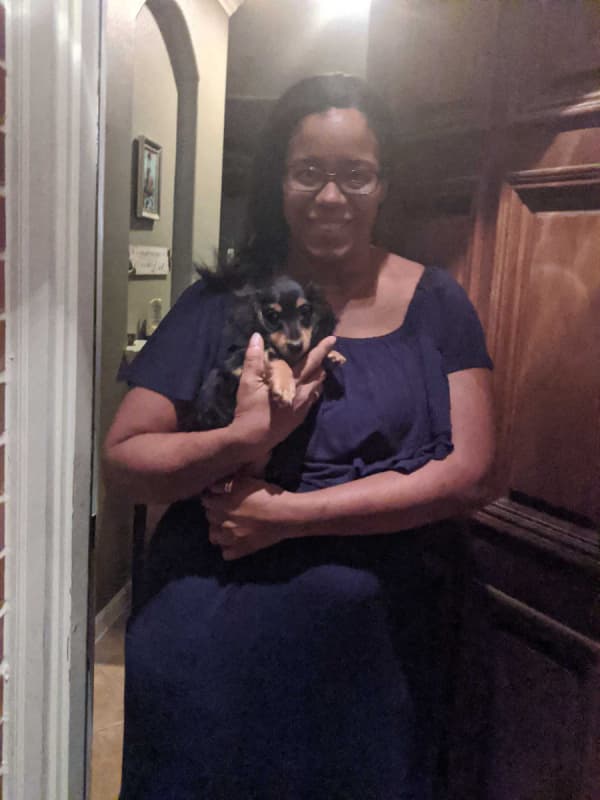 Customer photo of Dachshund, Mini puppy from Bevin S.