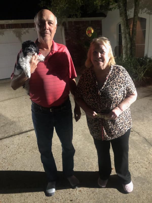 Customer photo of Cockapoo puppy from Judie N.