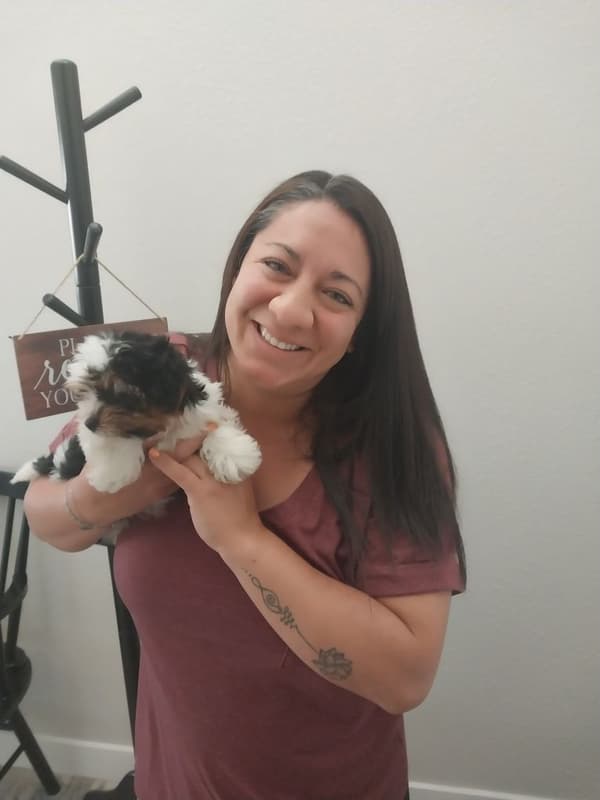 Customer photo of Yorkiepoo - Yorkie Poo puppy from Briana P.