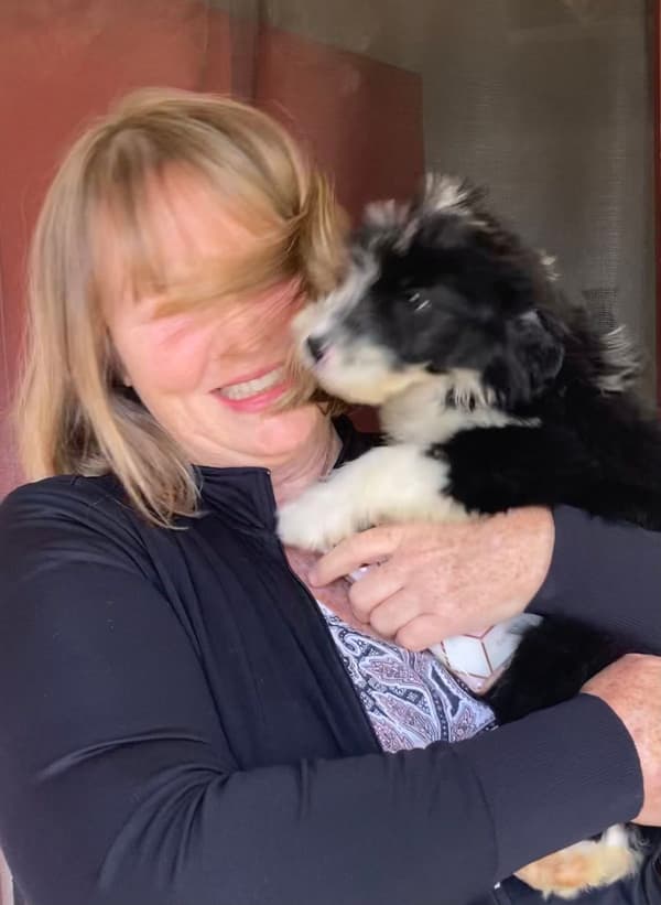 Customer photo of Aussiedoodle puppy from Linda W.