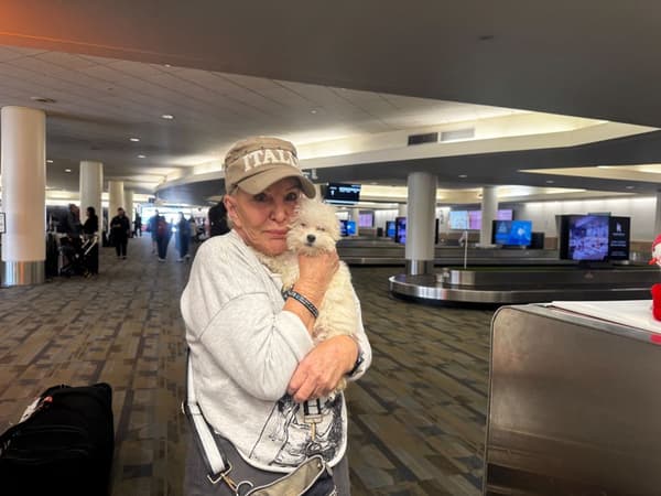 Customer photo of Malti Poo - Maltipoo puppy from Carole S.
