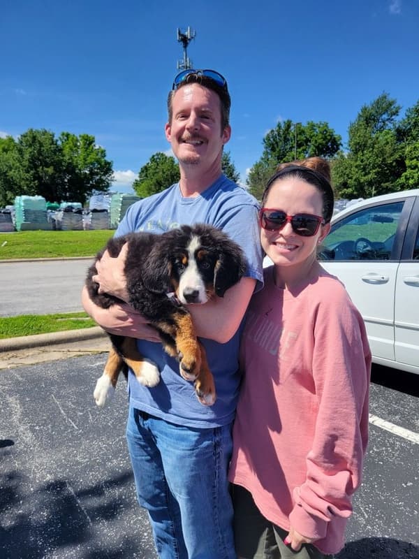 Customer photo of Bernese Mountain Dog puppy from Destini M.