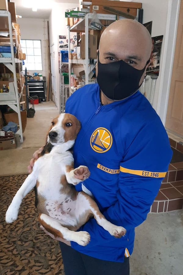 Customer photo of Beagle puppy from Pranil K.