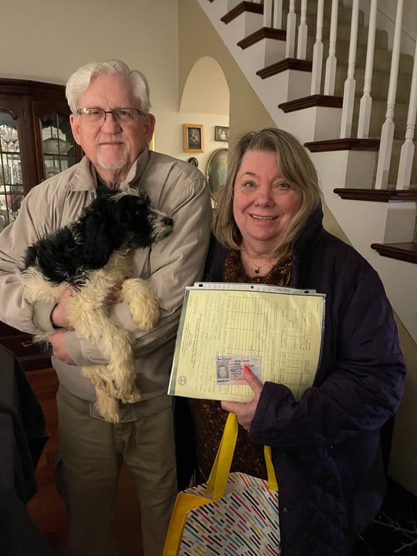 Customer photo of Springerdoodle puppy from Donna O.