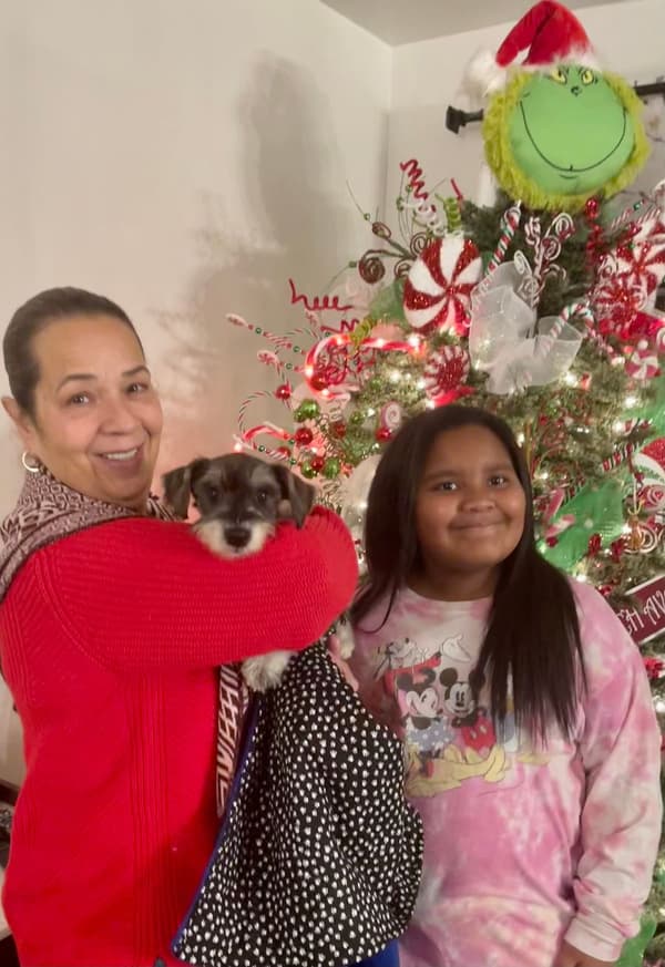 Customer photo of Schnauzer, Miniature puppy from Matilda C.