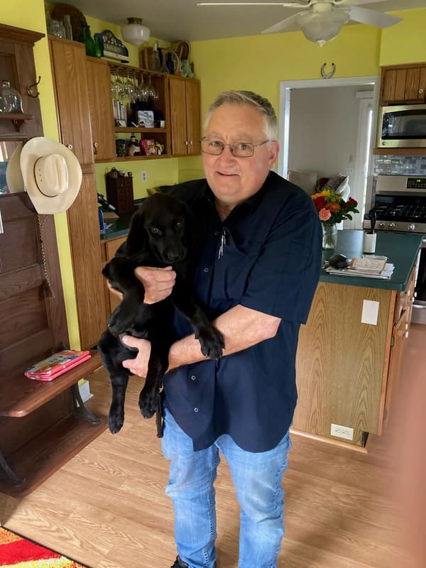 Customer photo of Labrador Retriever puppy from Jan M.