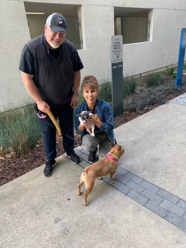 Customer photo of Poodle, Toy puppy from Jennie K.