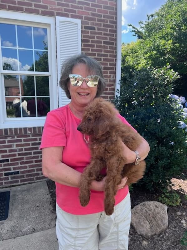 Customer photo of Goldendoodle puppy from Heidi S.