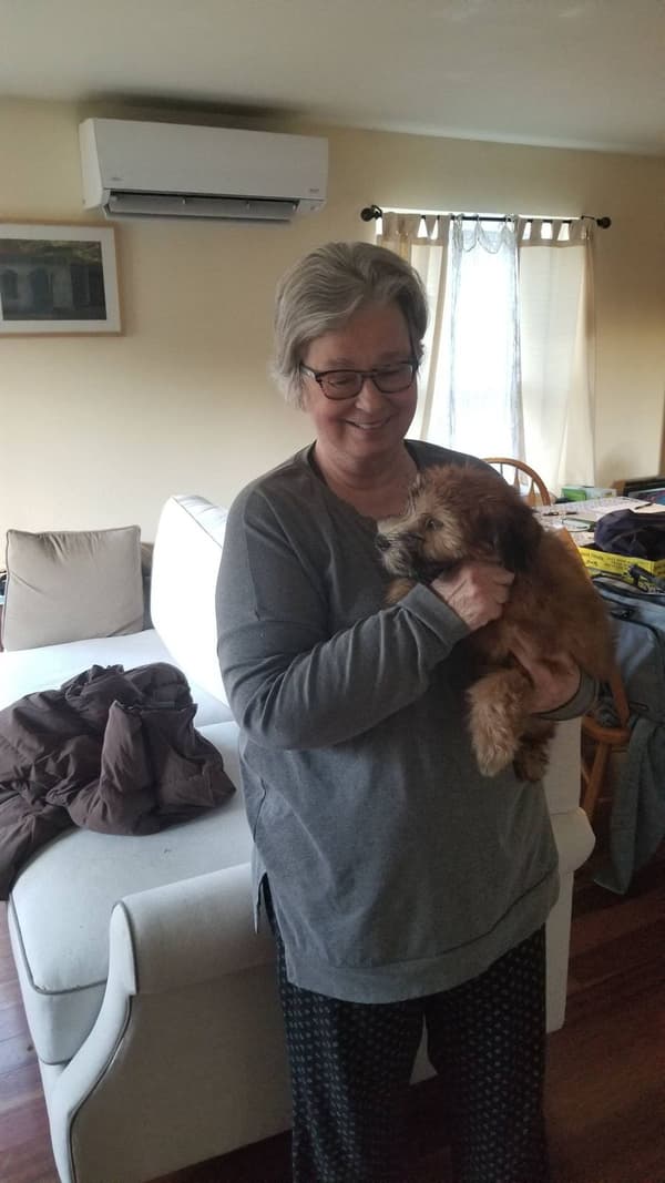 Customer photo of Soft Coated Wheaten Terrier puppy from Carol R.