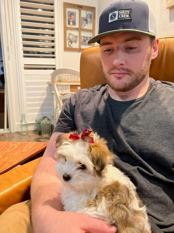 Customer photo of Morkie / Yorktese puppy from Jody N. 