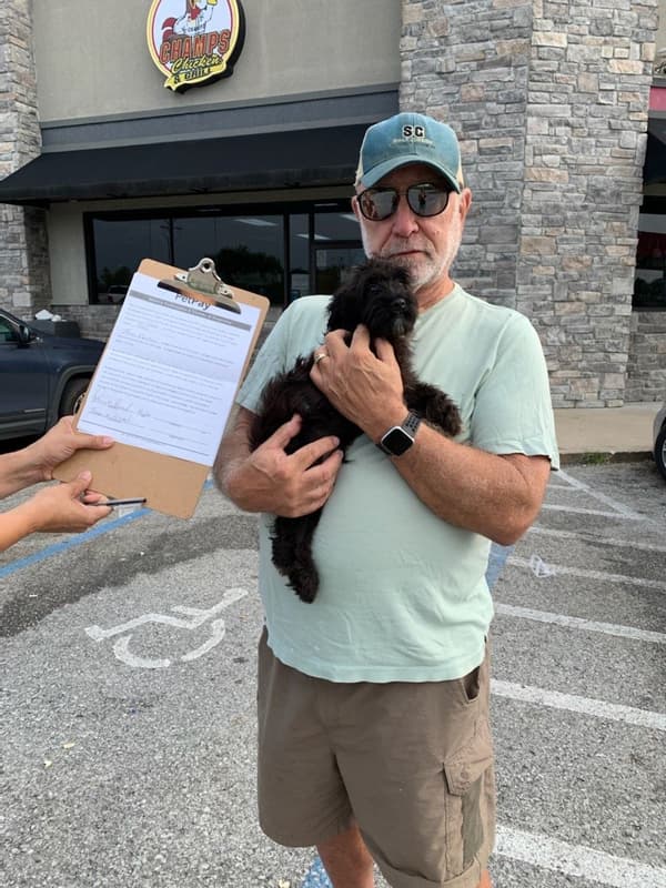 Customer photo of Schnoodle puppy from Thomas R.