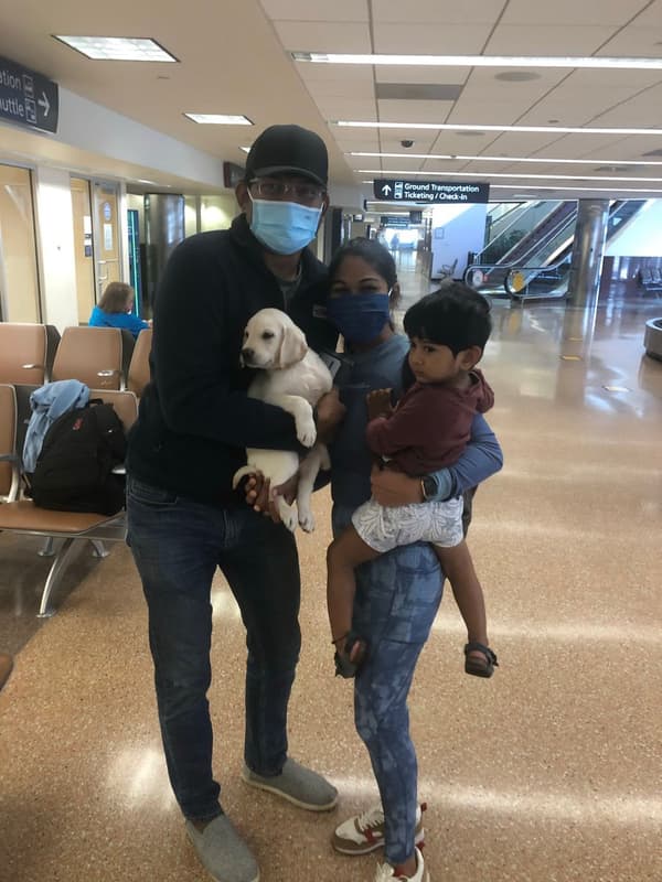 Customer photo of Labrador Retriever puppy from Harika M.