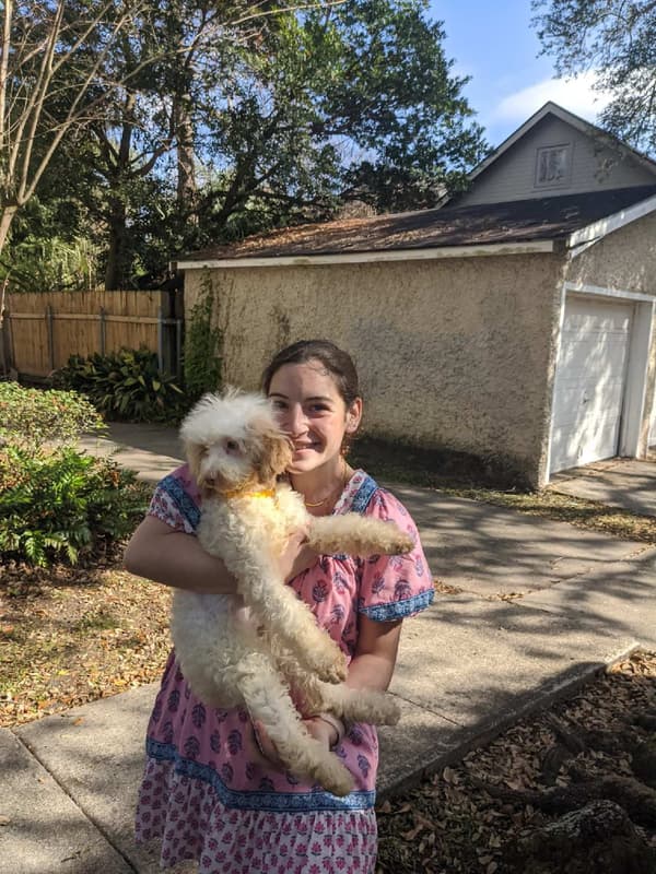 Customer photo of Poodle, Toy puppy from Maya K.