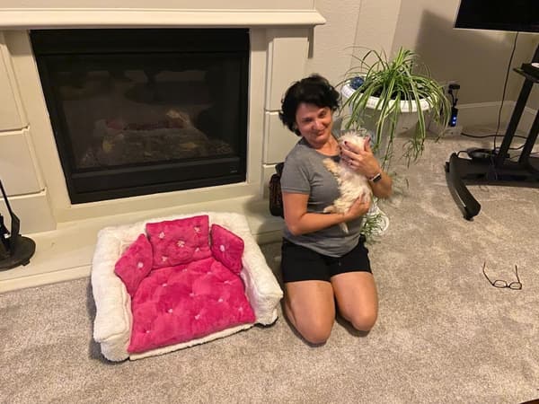 Customer photo of Maltese puppy from William D.