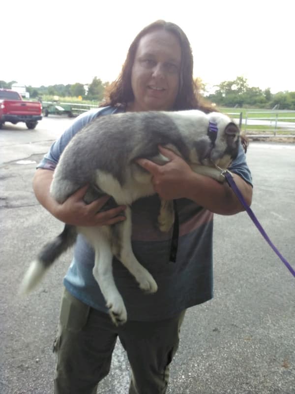 Customer photo of Siberian Husky puppy from Bryan G.