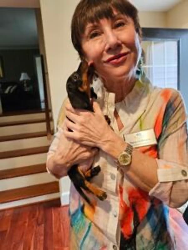 Customer photo of Dachshund, Mini puppy from Dana H.