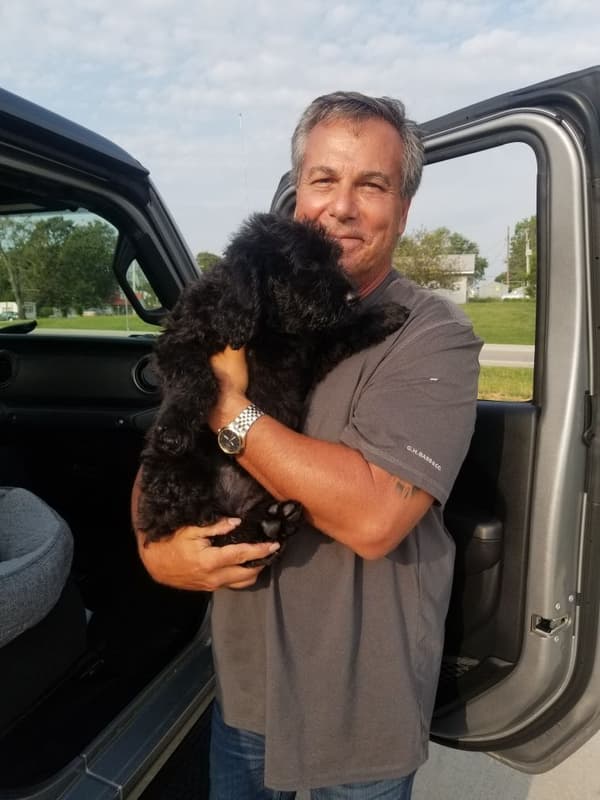 Customer photo of Goldendoodle puppy from Frank I.