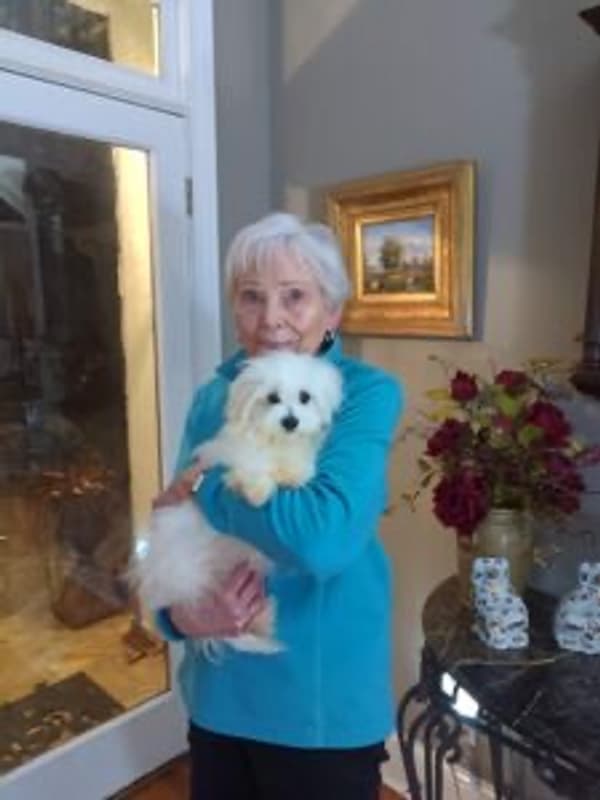 Customer photo of Maltese puppy from Barbara S.