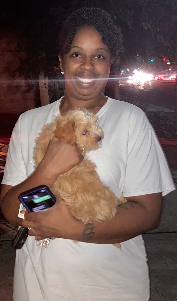 Customer photo of Poo-Ton puppy from Shayla B.