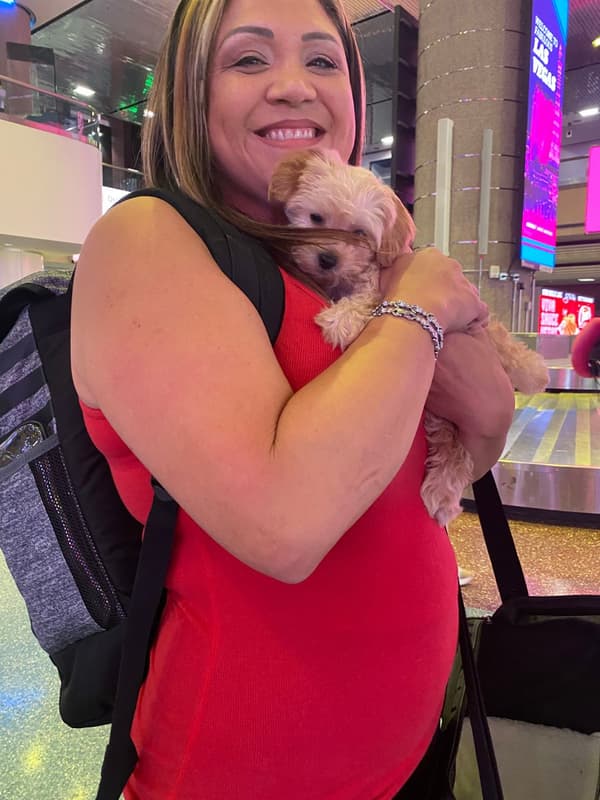 Customer photo of Malti Poo - Maltipoo puppy from Elicia A.