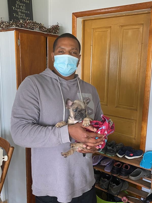 Customer photo of French Bulldog puppy from Eddie P. 
