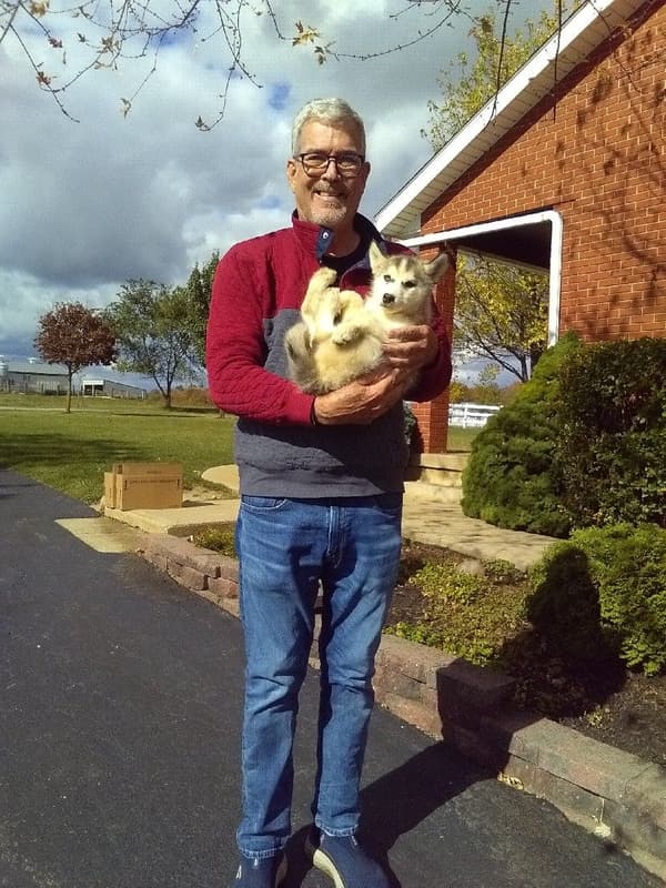 Customer photo of Siberian Husky puppy from Mike W.