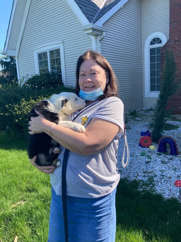 Customer photo of Australian Shepherd puppy from Mary S.