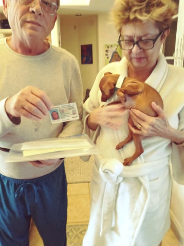 Customer photo of Miniature Pinscher puppy from Lucian S.