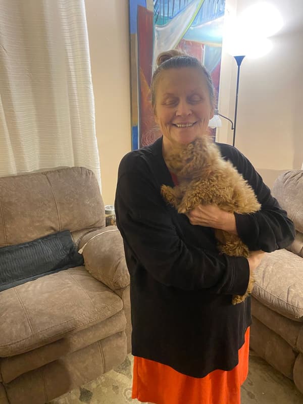 Customer photo of Poodle, Toy puppy from Jodi W.