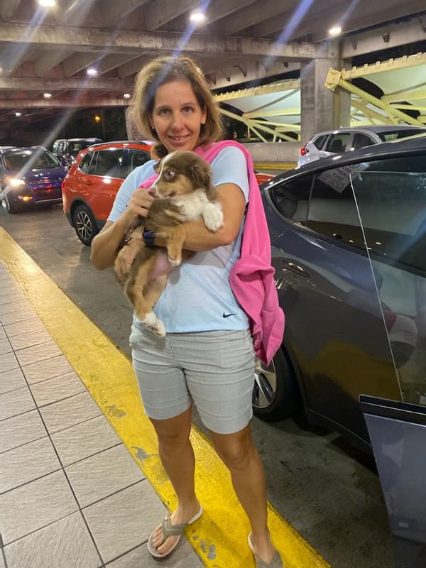 Customer photo of Miniature Australian Shepherd puppy from Mariano B.