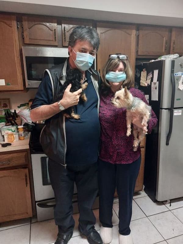 Customer photo of Yorkshire Terrier - Yorkie puppy from Linda & Gene S.