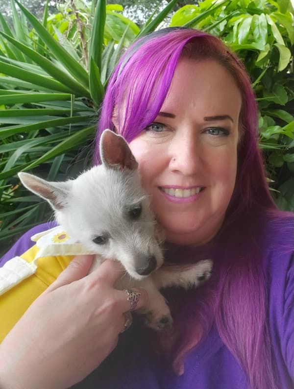 Customer photo of West Highland White Terrier - Westie puppy from Sheila M.