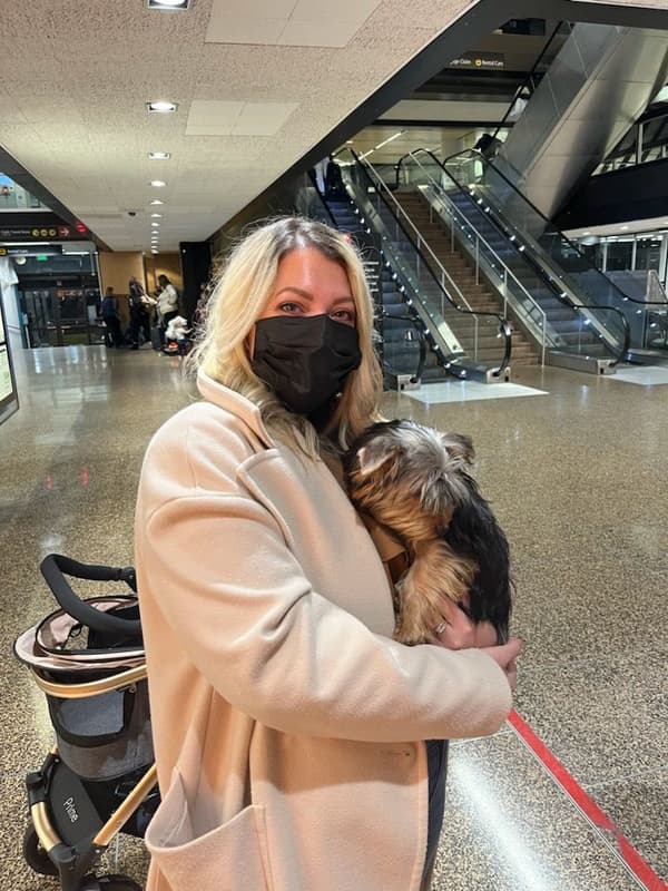 Customer photo of Yorkshire Terrier - Yorkie puppy from Elizabeth E.