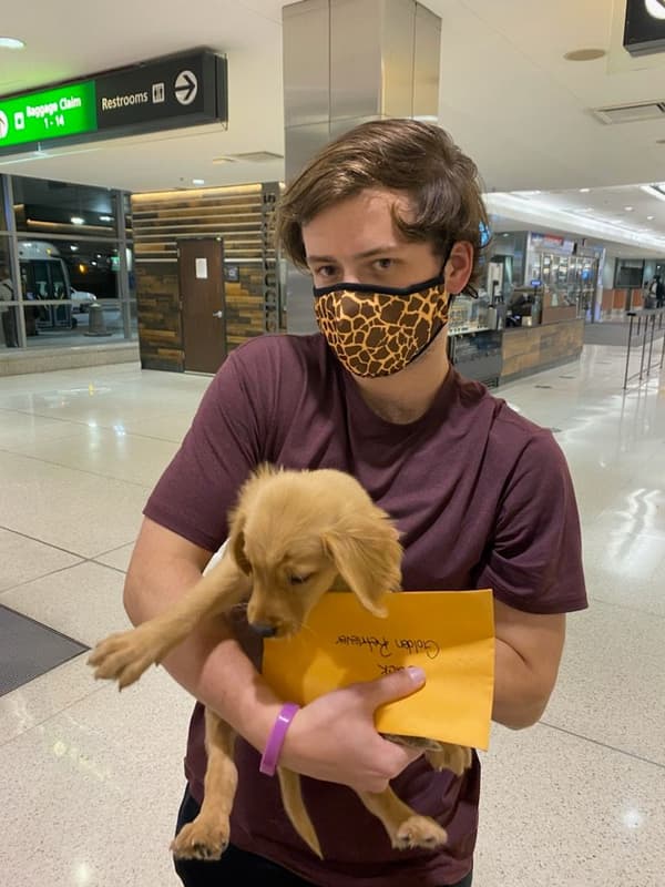 Customer photo of Golden Retriever puppy from Jack M.