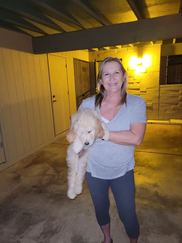 Customer photo of Goldendoodle puppy from Chris G.
