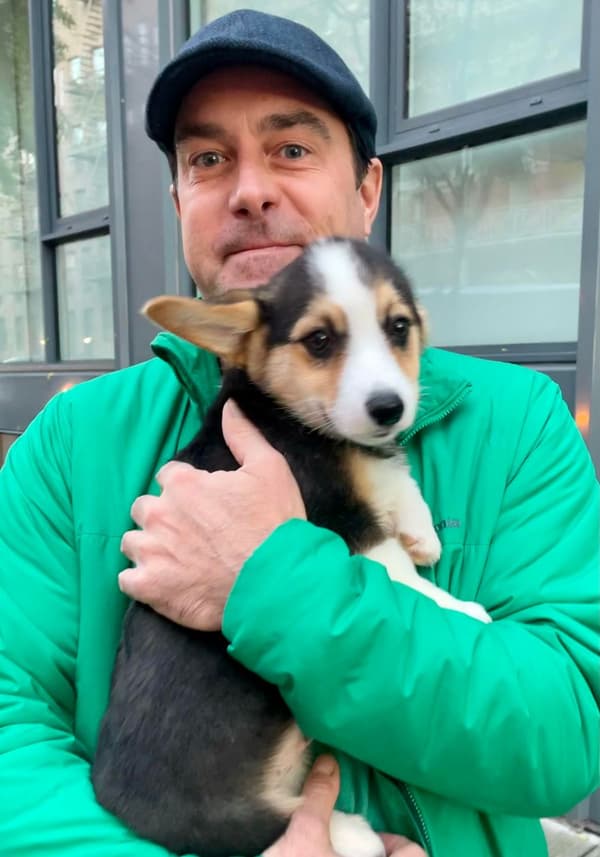 Customer photo of Corgi, Pembroke Welsh puppy from Joseph R.