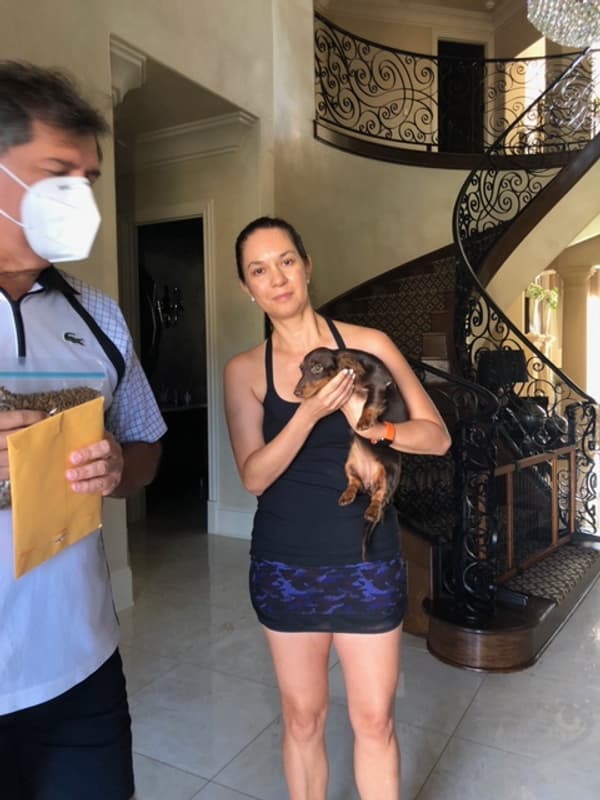 Customer photo of Dachshund, Mini puppy from Jose R.