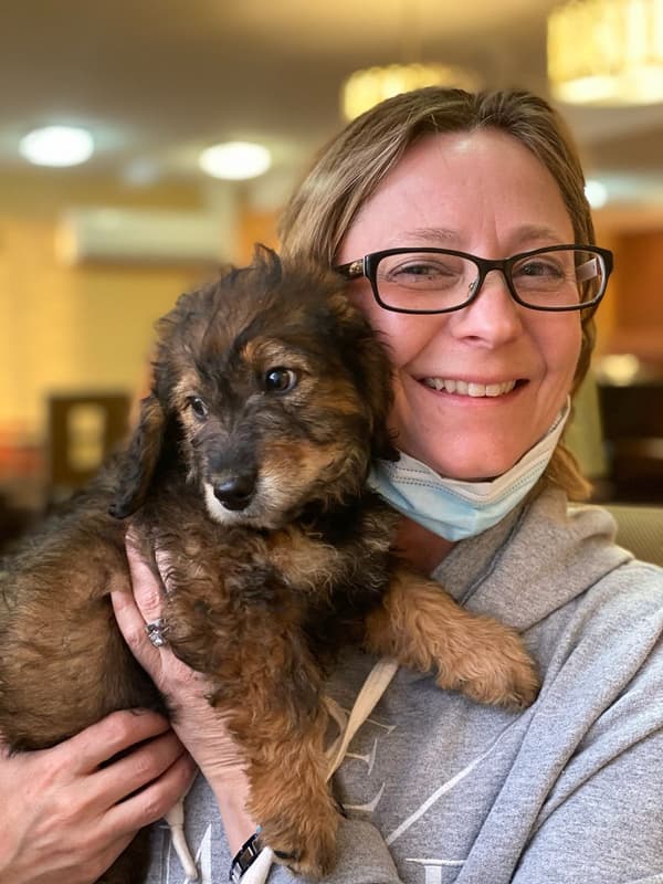 Customer photo of Bernedoodle, Mini puppy from Beth L.