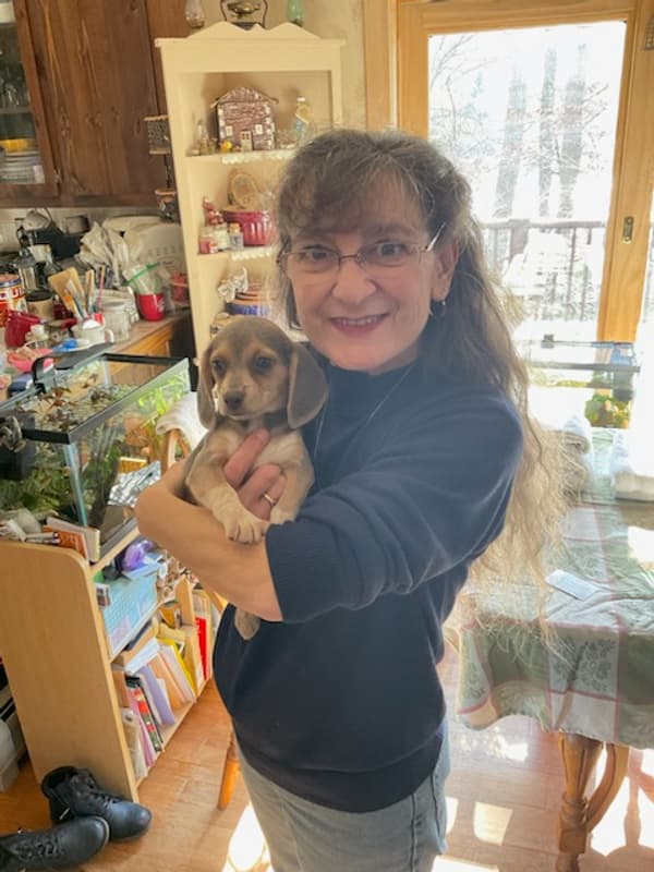 Customer photo of Beagle puppy from Linda W.