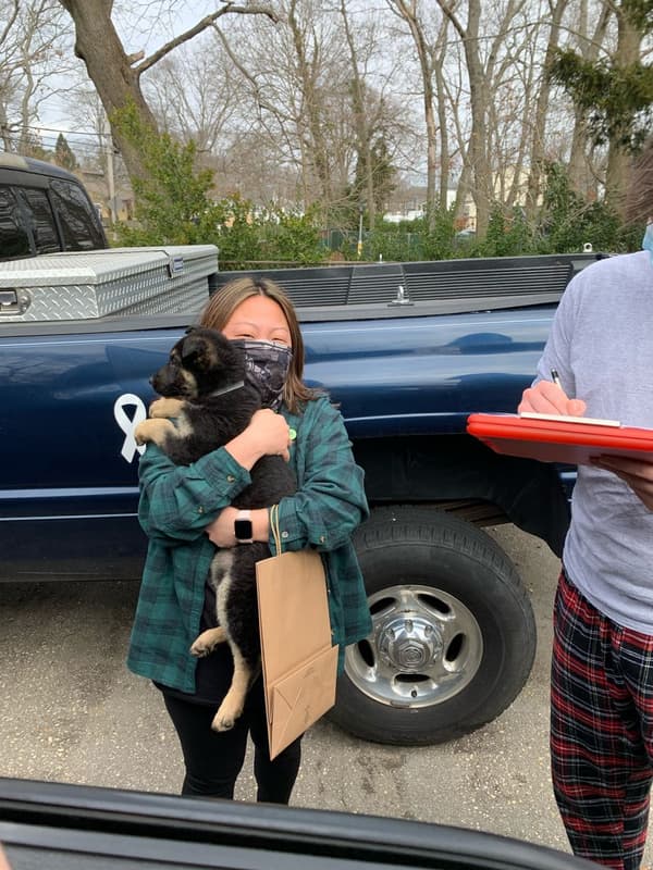 Customer photo of German Shepherd puppy from Gary F.