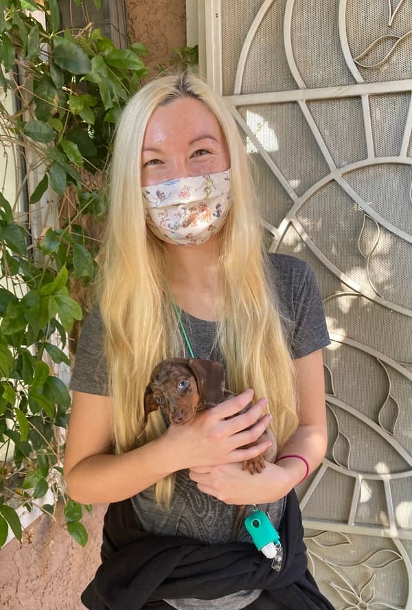 Customer photo of Dachshund, Mini puppy from Briana H.