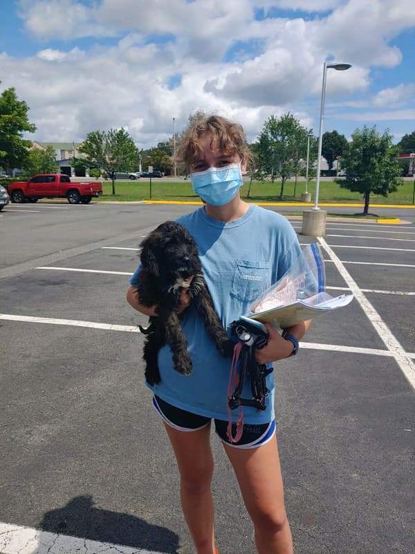 Customer photo of Irishdoodle puppy from Bonnie L.