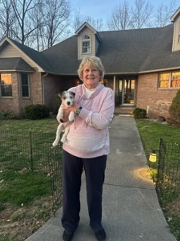 Customer photo of Jack Russell Terrier puppy from Pamela D.