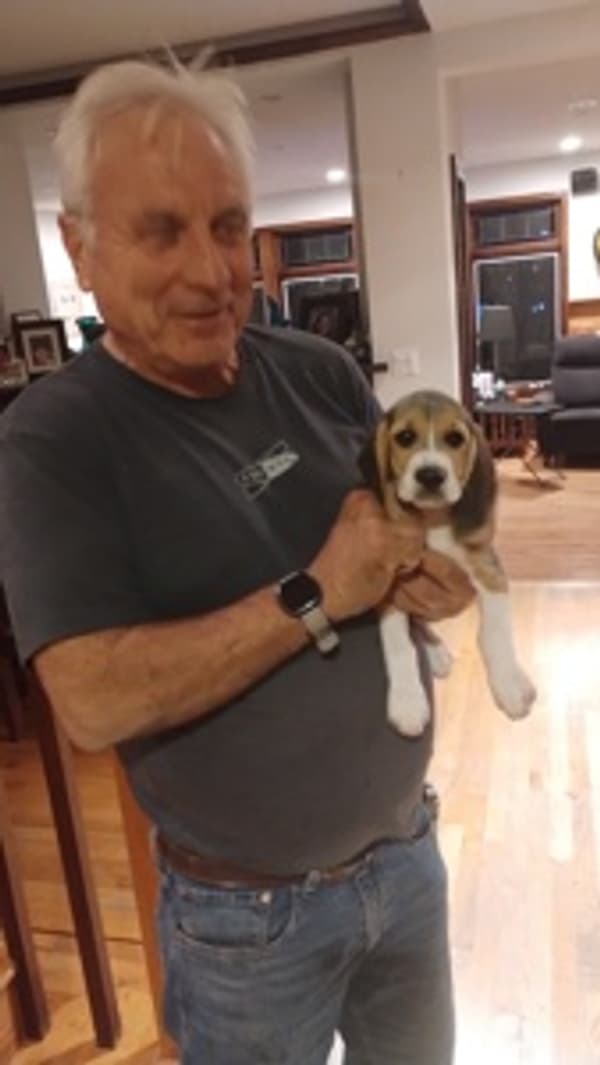 Customer photo of Beagle puppy from Bret H.
