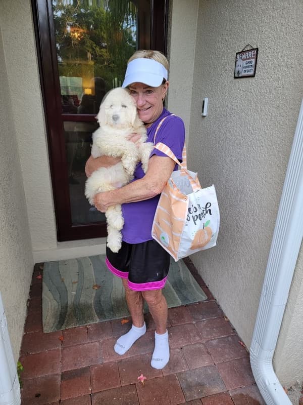 Customer photo of Goldendoodle puppy from Pat M.