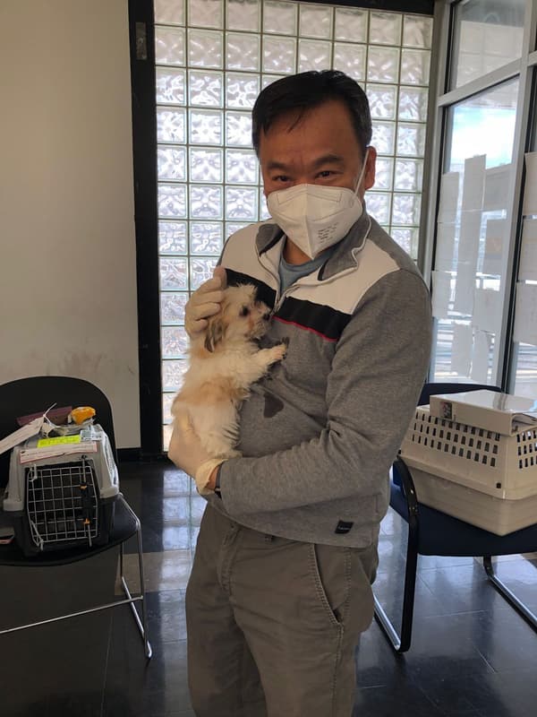Customer photo of Havanese puppy from Patrick C.