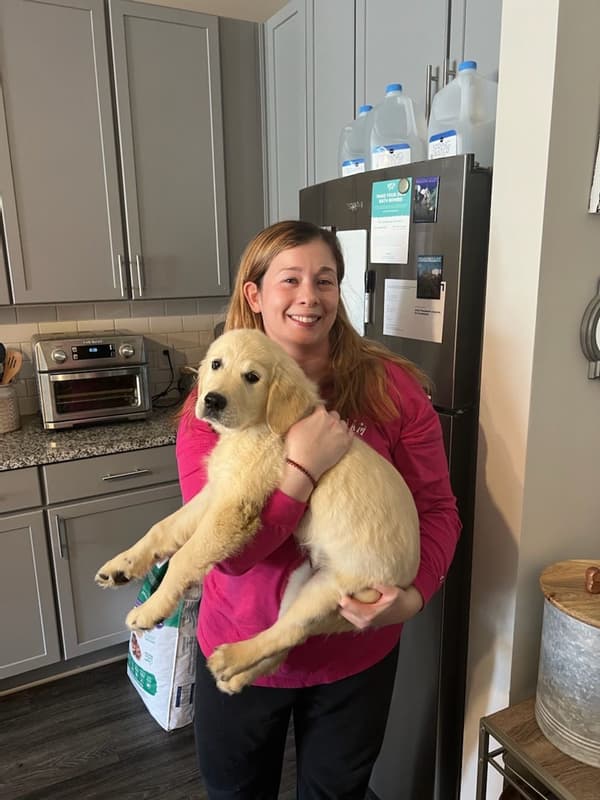 Customer photo of English Golden Retriever puppy from Catherine K.