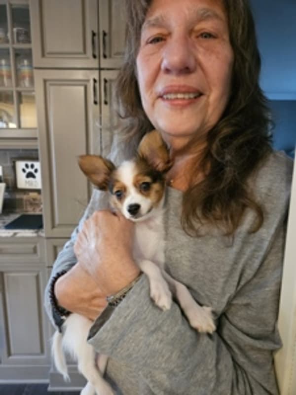 Customer photo of Papillon puppy from Charles M.